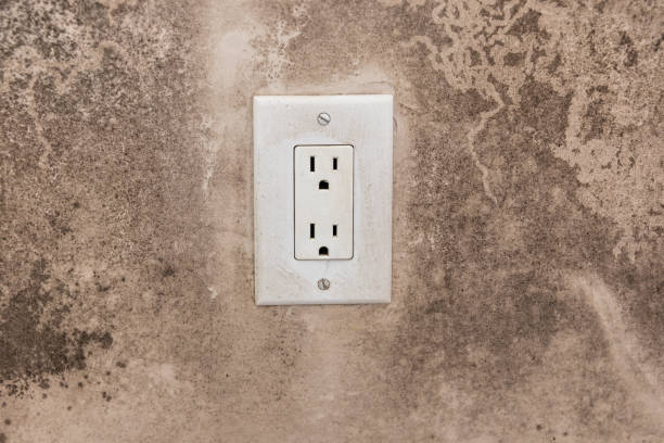 Best Mold Prevention Services  in Conyers, GA
